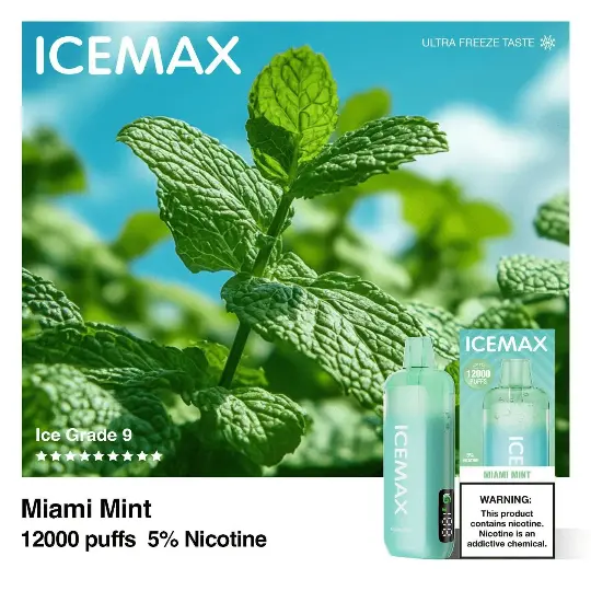 ICEMAX Nicotine Device