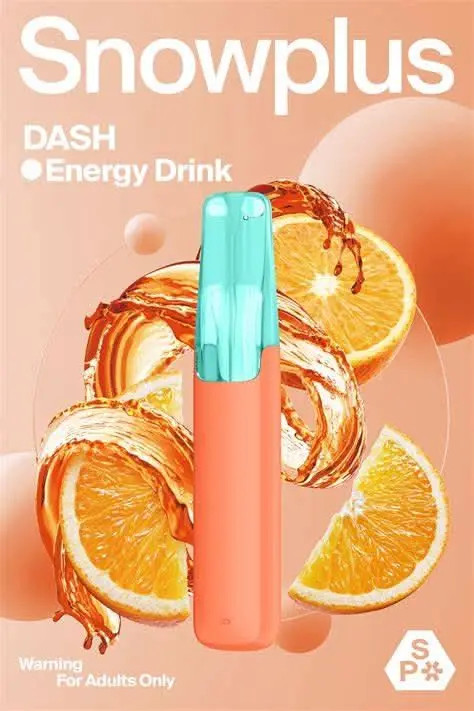Snowplus DASH 4000