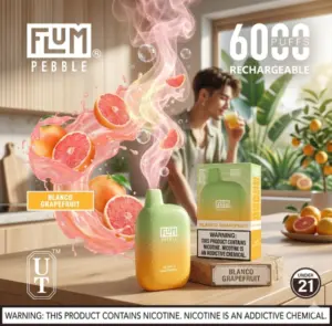 FLUM PEBBLE DISPOSABLE VAPE 5% NICOTINE