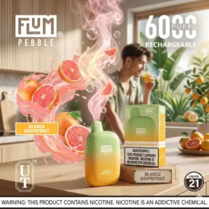 FLUM PEBBLE DISPOSABLE VAPE 5% NICOTINE
