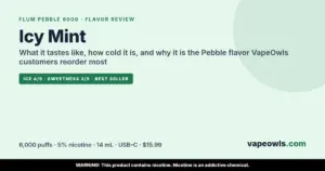 Flum Pebble Icy Mint flavor review: 6,000 puffs, 5% nicotine, $15.99 at VapeOwls, best-selling Pebble flavor