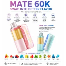 Geek Bar Mate 60K